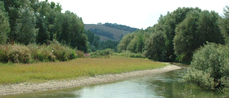 Riserva Naturale Ripa Bianca