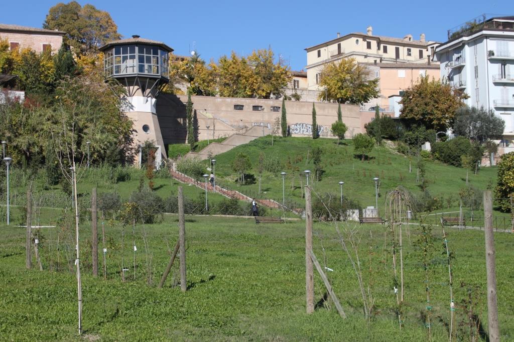 Parco del Vallato